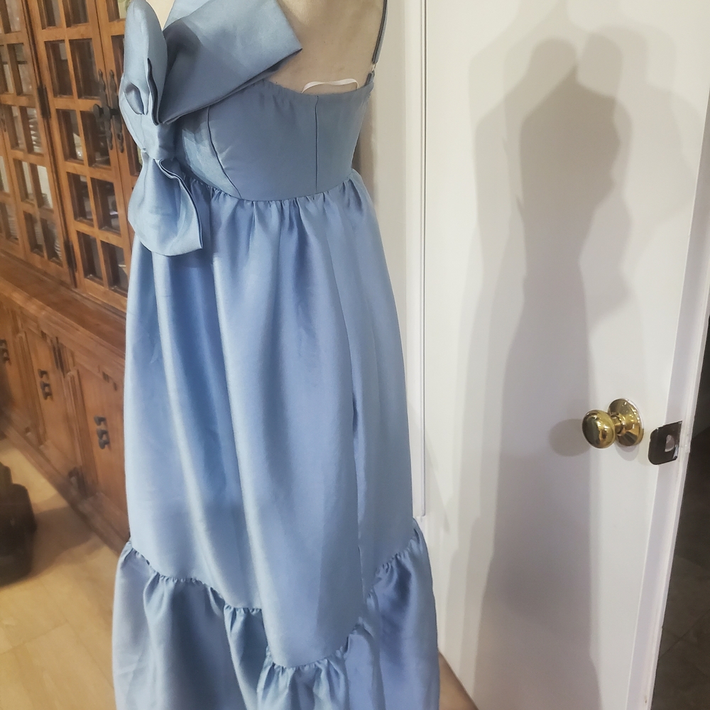 Petal & Pup Blue Maxi Dress - Picture 7 of 10